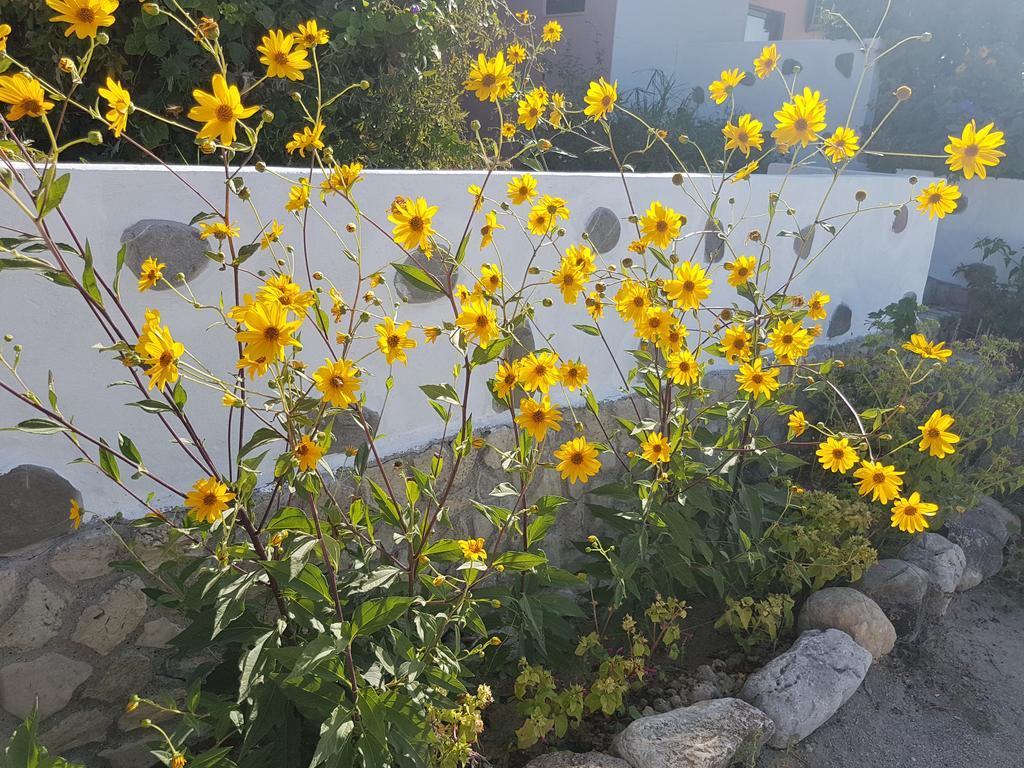 Melina'S Apartments Kalavárda Екстериор снимка